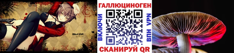 Псилоцибиновые грибы мицелий  Купить закладки  Ивангород 
